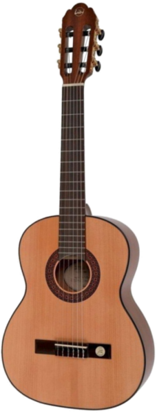 VGS Pro Arte GC 50 II