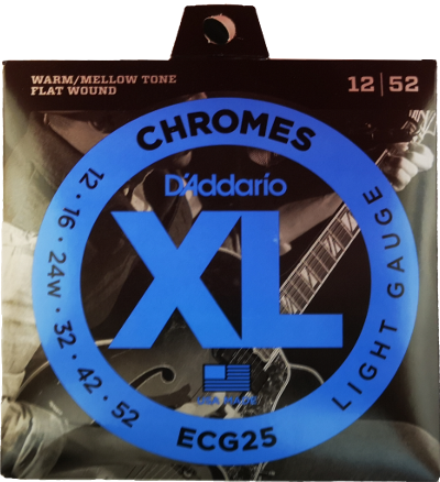 D'ADDARIO ECG 25